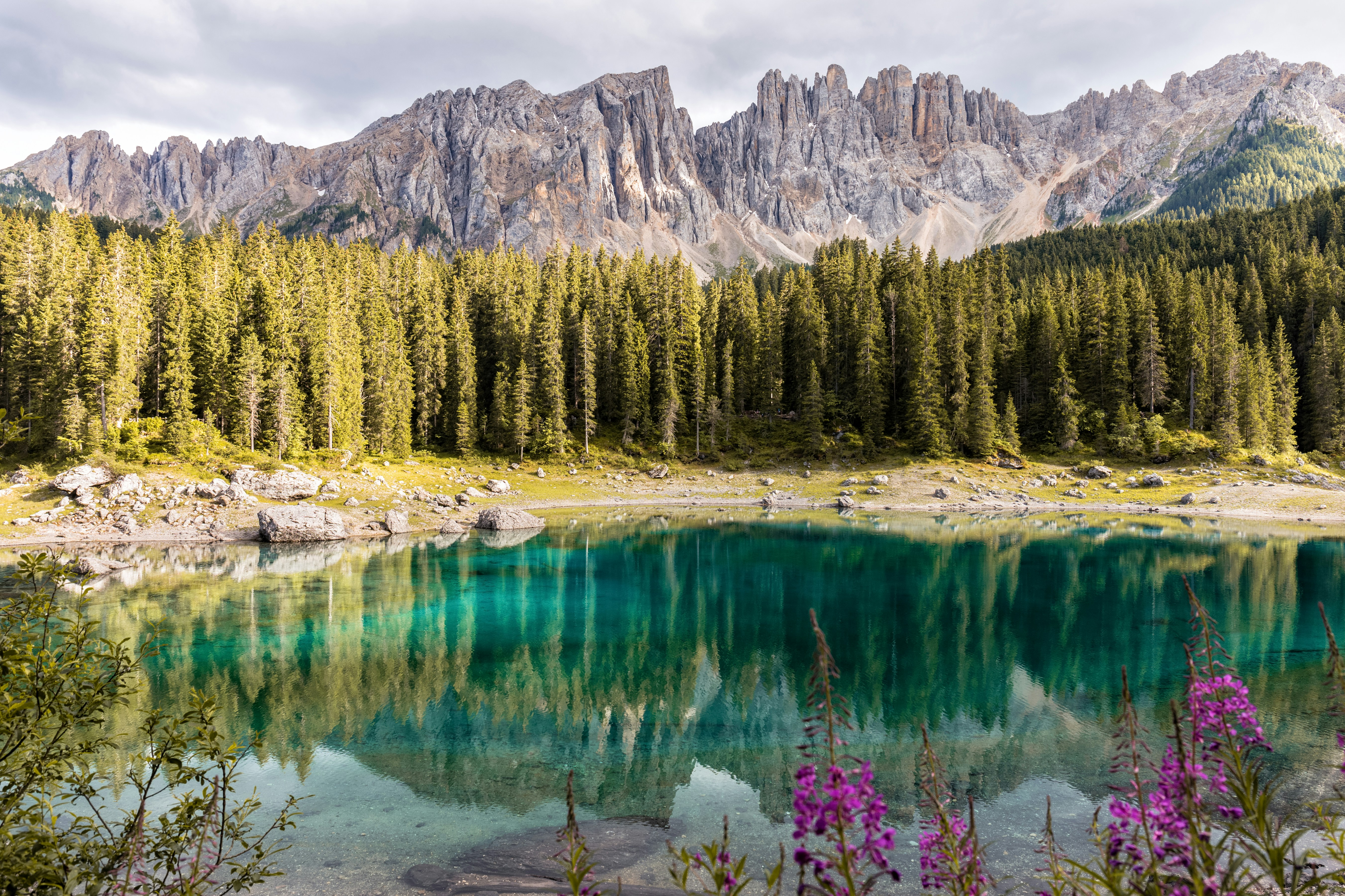 Nuestra naturaleza es amor y el don de manifestarlo es ilimitado